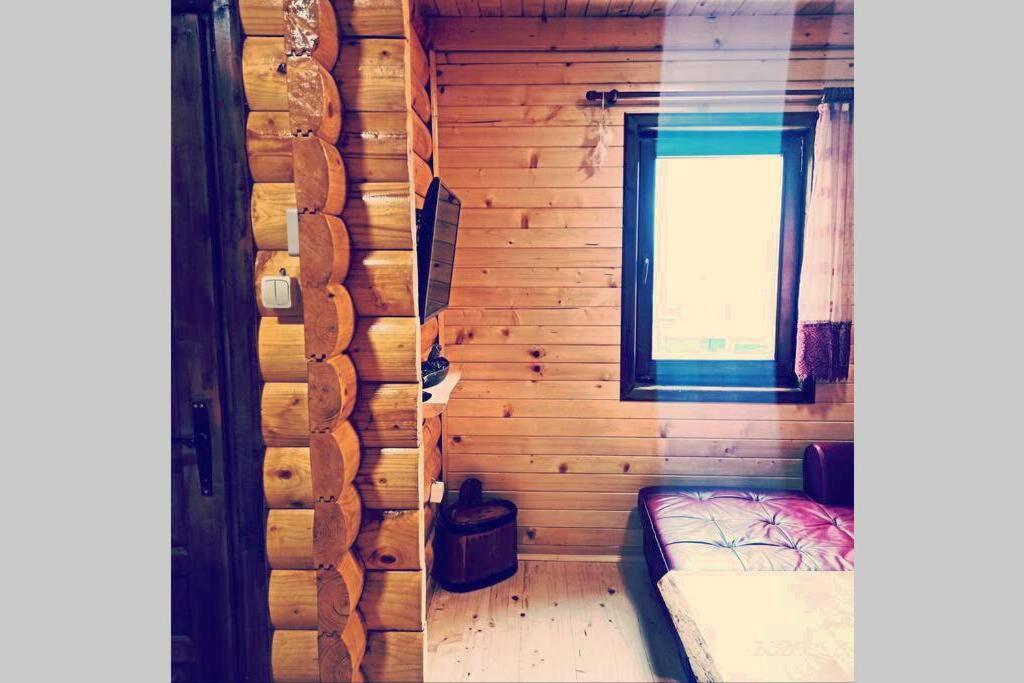 Pinecone Villa Žabljak Exteriör bild