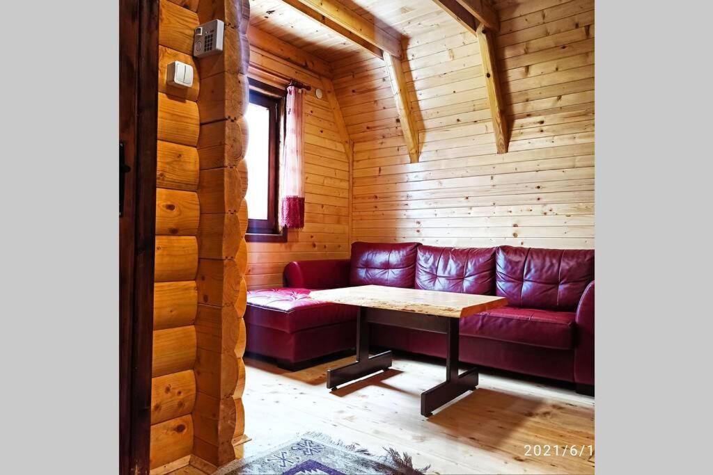 Pinecone Villa Žabljak Exteriör bild