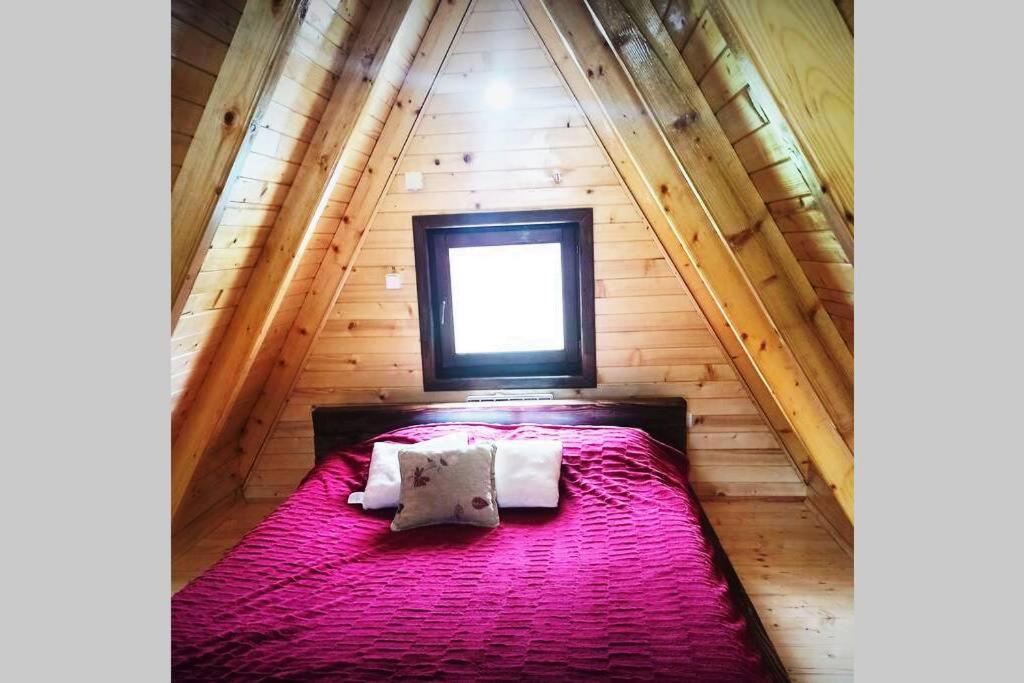 Pinecone Villa Žabljak Exteriör bild