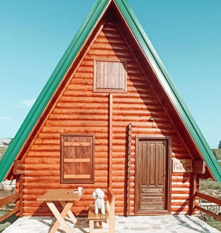 Pinecone Villa Žabljak Exteriör bild